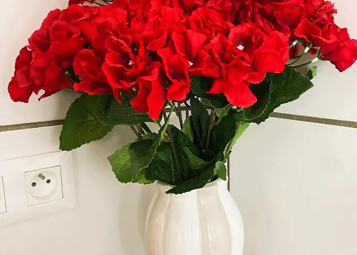 Spacious Home-style Apartment